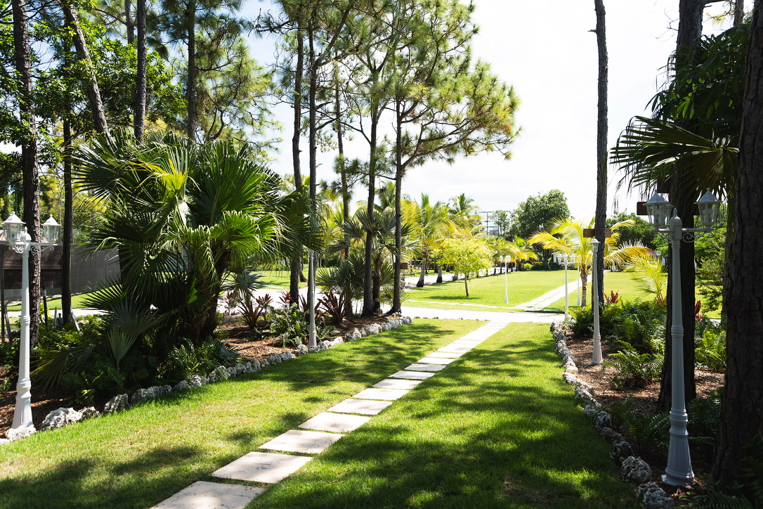 Paved path through the palms on the estate grounds