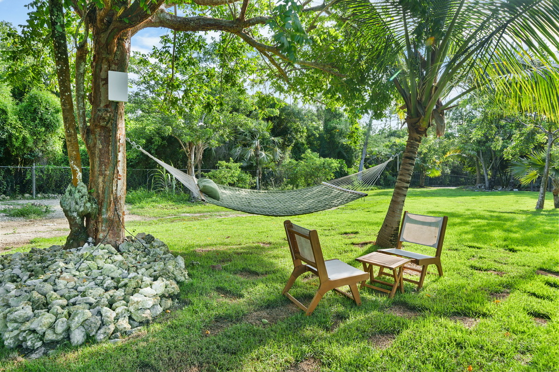 Hammock between two trees on the estate lawn